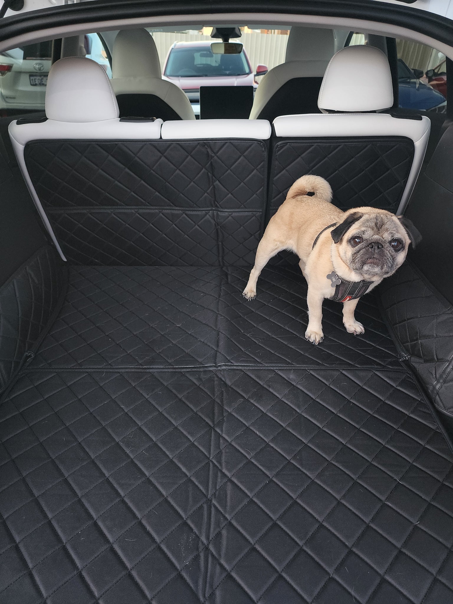 Model y pet cargo shop cover